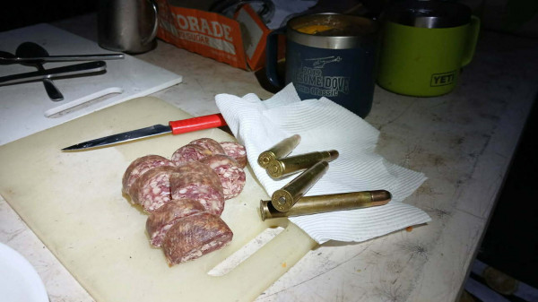 Охота в Австралии. Пара буйволов и пара кабанчиков (с фотографиями)