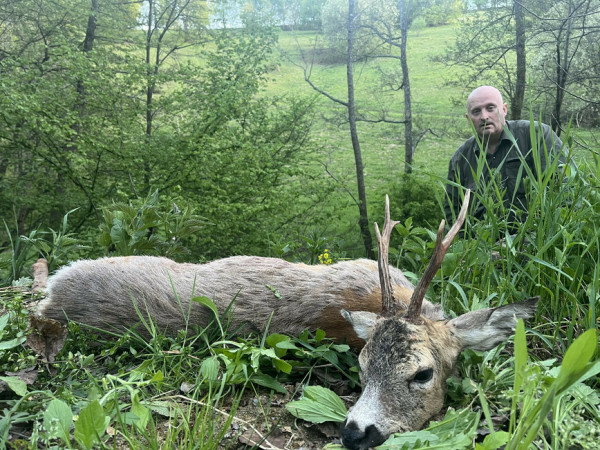 Весенняя охота на единорога в Румынии (краткий отчет с фотографиями) Весенняя охота на единорога в Румынии (краткий отчет с фотографиями)
